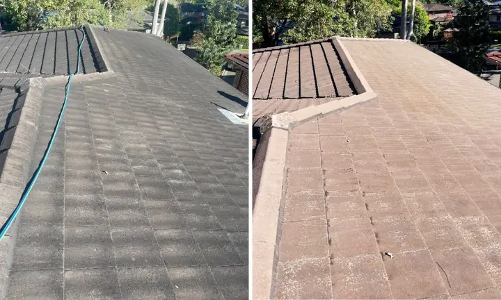 Grey concrete tile roof, before and after cleaning: dark with a hose across it on the left, clean pale tiles on the right.