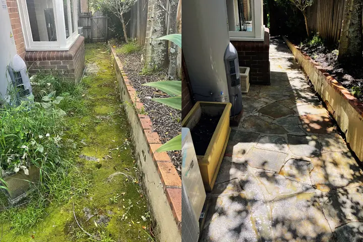 Narrow side path beside a brick garden edge, before and after pressure washing: covered in green moss on the left, clean flagstones on the right.