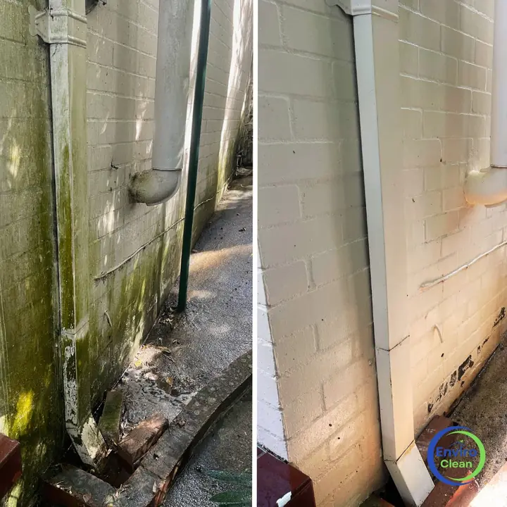 White rendered wall beside a downpipe, before and after a house wash: green algae on the left, clean on the right.